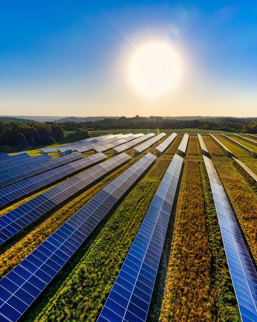 Rows of solar panels spread across a sunlit field at golden hour